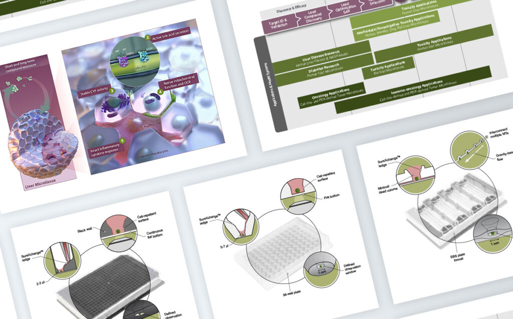 InSphero product illustrations